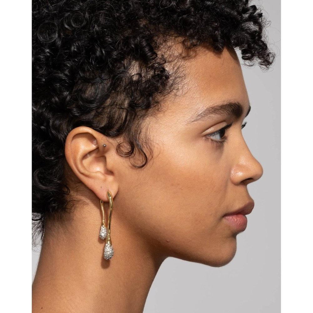 Alexis Bittar Solanales Crystal Front Back Double Drop Earring- Gold-406… - Picture 12 of 13